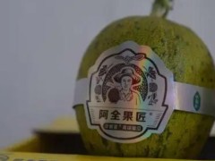 攥紧农业“芯片”，中国蔬菜第一县的种业突围战